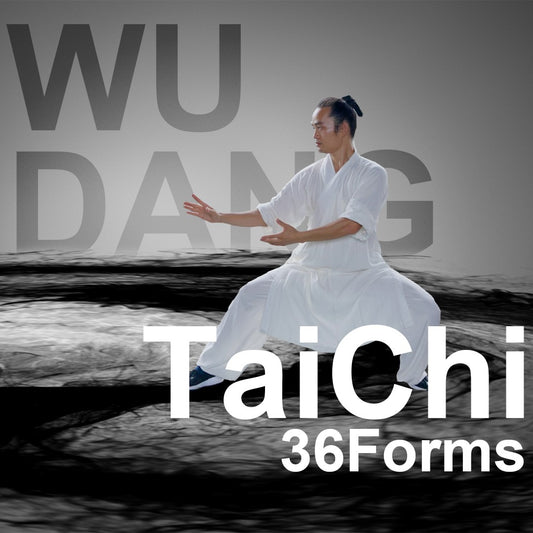 Wudang Tai Chi 36 Forms(1-36)